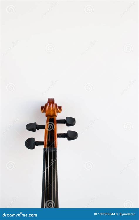 Violino No Fundo Branco Curva Foto De Stock Imagem De Branco