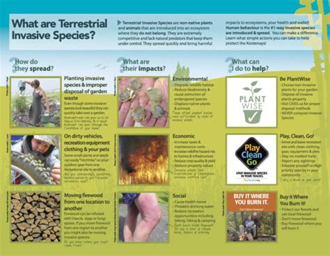 A New Education Tool To Prevent The Spread Of Harmful Invasive Species Redesigned Ckiss