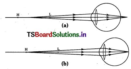 TS 10th Class Physical Science Important Questions Chapter 5 Human Eye