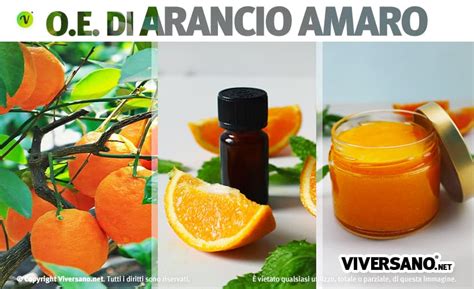 Olio essenziale di rosmarino proprietà usi in aromaterapia e dove