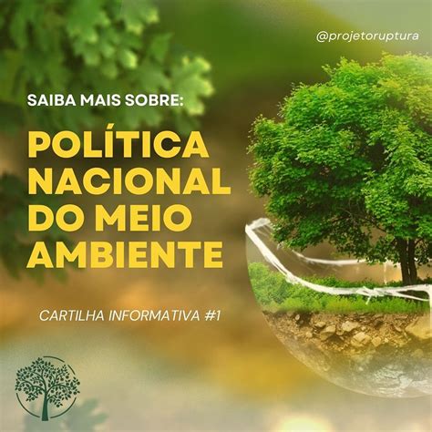 Conozca La Política Nacional Del Medio Ambiente Pnma De Brasil