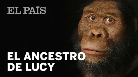 EVOLUCIÓN HUMANA Lo que dice el rostro del ANCESTRO de LUCY YouTube