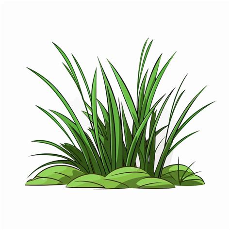 Premium Vector Grass Flat Vector Illustration Grass Cartoon Hand Drawing Isolated Vector