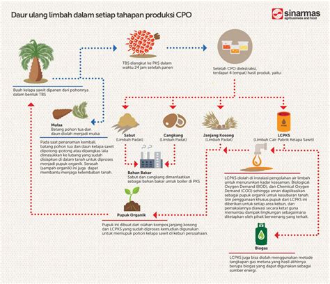 How it works: Zero waste in palm oil production - PT Sinar Mas Agro ...