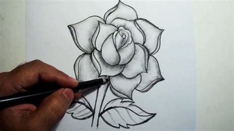 Rosas Dibujos Faciles Paso A Paso