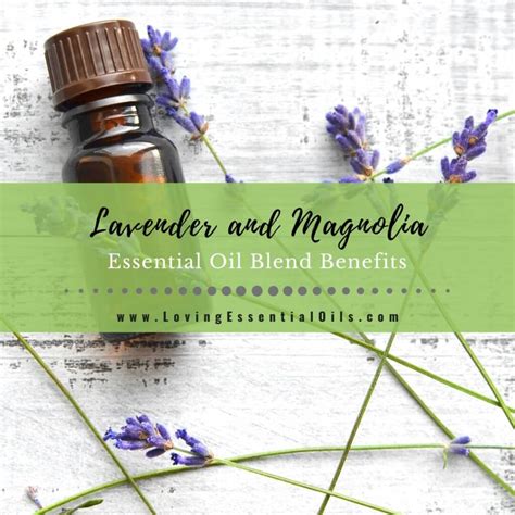 Beneficios De La Mezcla De Aceites Esenciales De Lavanda Y Magnolia