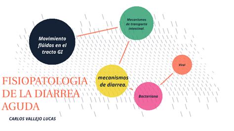 Fisiopatologia De La Diarrea Aguda By Carlos Vallejo On Prezi