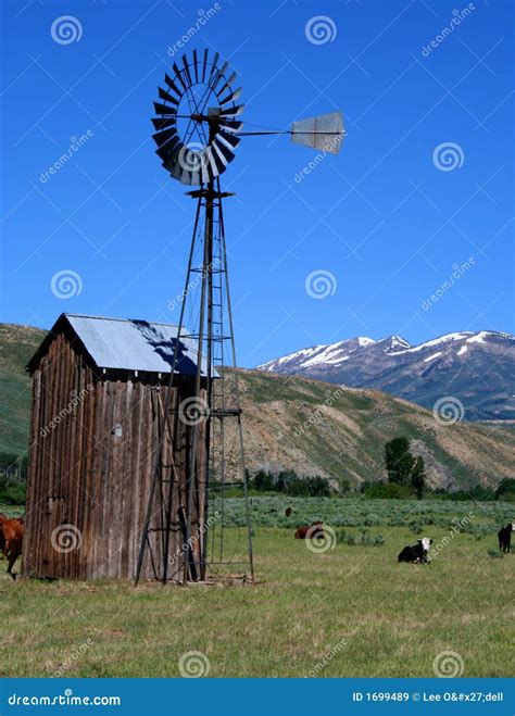 Home On The Range 2 Stock Image Image Of Cattle Idaho 1699489