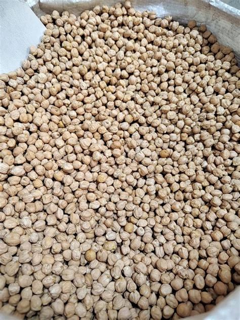 Organic Kabuli Chana Packaging Type Loose At 160 Kg In New Delhi