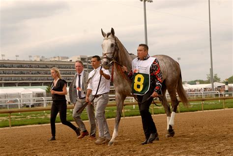 Preakness Stakes Contenders