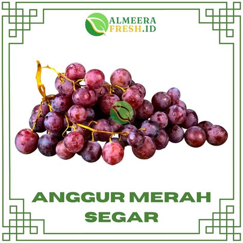 Jual Anggur Red Globe Peru RRC ALMEERAFRESH 1000 Gram PREMIUM