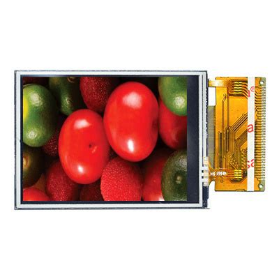 Stn COB LCD Display Module Characters And Graphics China LCD And LCM