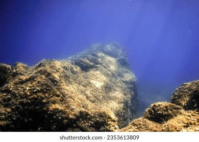 16,749 Ocean Floor Rocks Images, Stock Photos, 3D objects, & Vectors ...