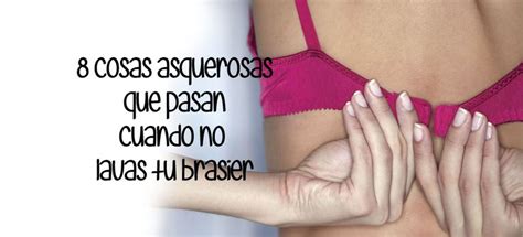 8 Cosas Asquerosas Que Pasan Cuando No Lavas Tu Brasier Mujer De 10