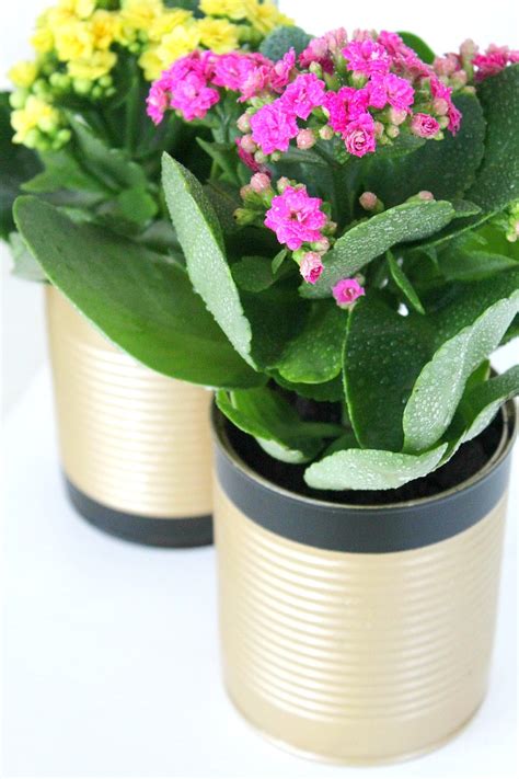 Tin Plant Pots Easy & Cute Recycled Home Decor Idea