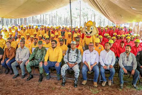 Hidalgo Van Mil 869 Hectáreas Afectadas Por Incendios Durante El Año Grupo Milenio