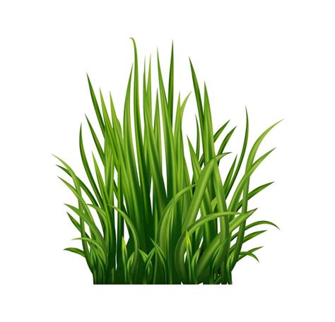 Grassplot Vectors And Illustrations For Free Download Freepik