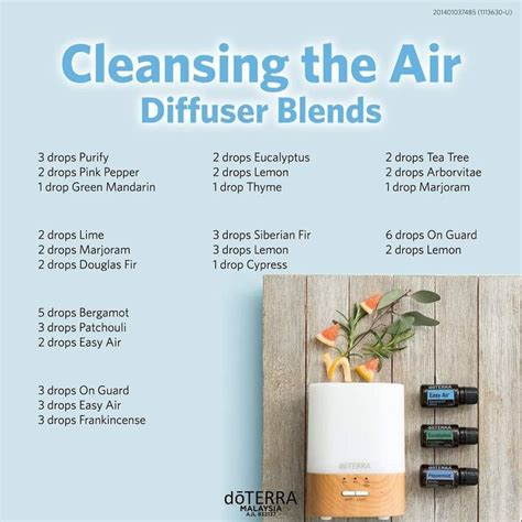 Cleansing The Air Essential Oil Diffuser Blends Recipes Essential