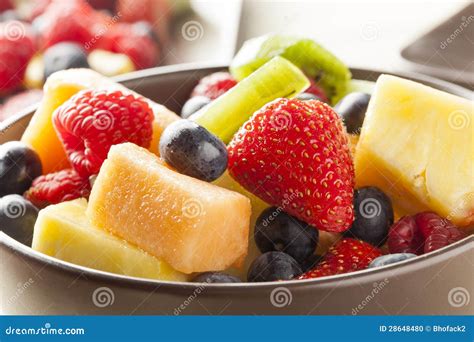 Fresh Organic Fruit Salad stock photo. Image of green - 28648480