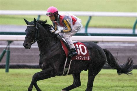 【天皇賞・秋】出走馬の調教後の馬体重 その他競技 スポーツブル スポブル