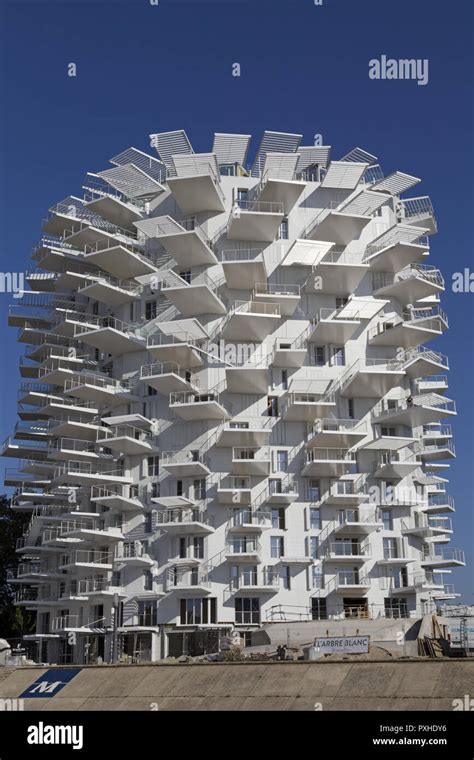 Modern Building L Arbre Blanc Les Berges Du Lez Montpellier