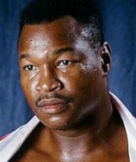 Is Larry Holmes a Financial Giant Behind His Legendary Skills? - Veja Store Site