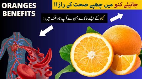 1 Kinu Orange Malta Khane Ke Fayde Benefits Of Eating Oranges Dly