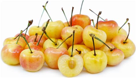 Royal Rainier Cherries Information And Facts