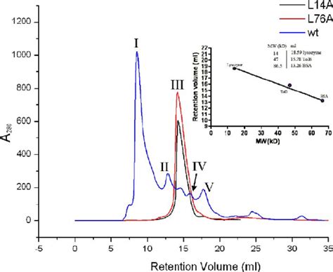 Fplc Superdex S 200 Size Exclusion Chromatography Of Wild Type And Download Scientific Diagram