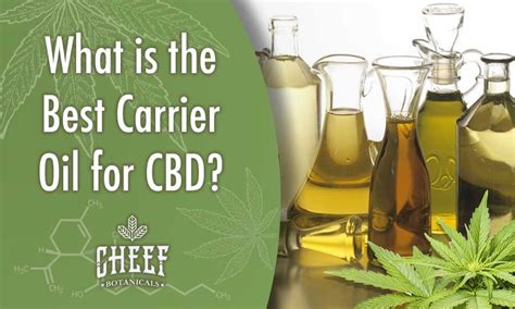 What Is The Best Carrier Oil For Cbd Cheef Botanicals