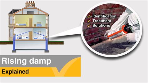 Rising Damp Solutions A Rising Damp Treatment Guide YouTube