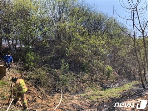 전북 순창군 야산서 산불1시간 20여분 만에 진화 네이트 뉴스