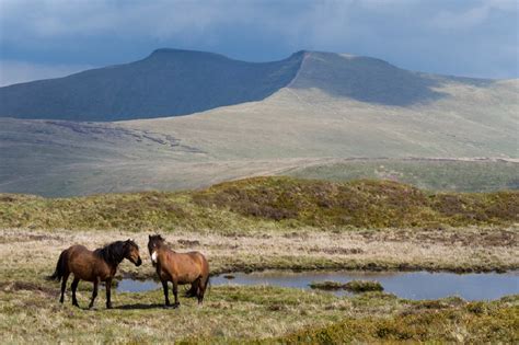 Brecon Beacons | SherazSanskruti