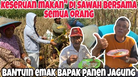 Keseruan Makan Siang Diswah Bersama Orang Dan Bantuin Emak Panen