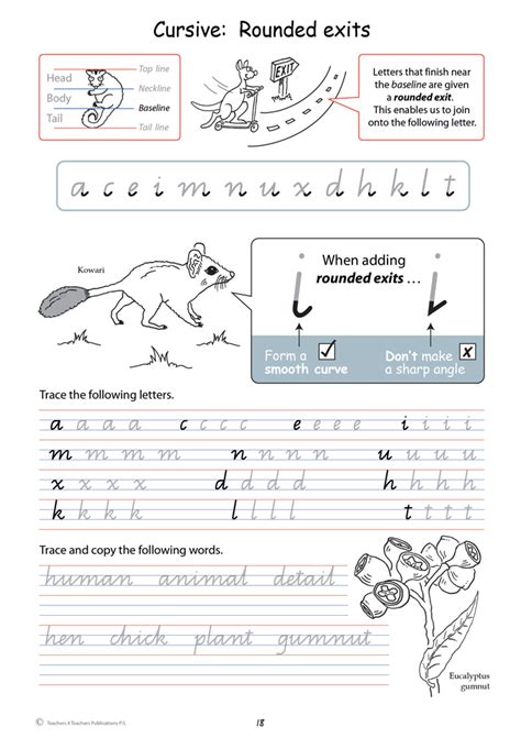 Handwriting Conventions Qld Year 4 Teachers 4 Teachers 9780980714265 Educational