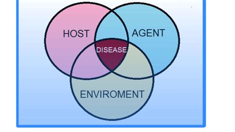 Epidemiological Triad by heba elkhazendar on Prezi