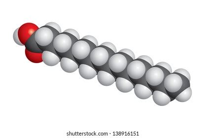 Palmitic Acid Palm Oil Molecule Space Stock Vector Royalty Free