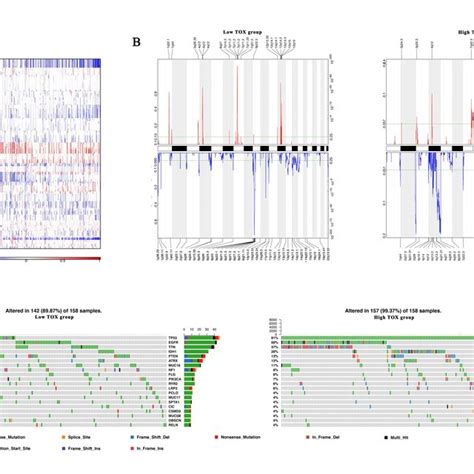 Distinct Genomic Profiles Associated With Tox Expression A The