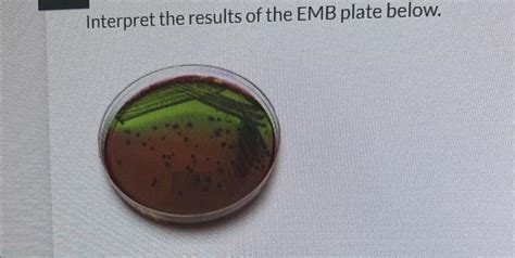 Solved Interpret the results of the EMB plate below. | Chegg.com