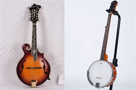 Mandolin Vs Banjo How Do They Compare Musical Instrument Pro