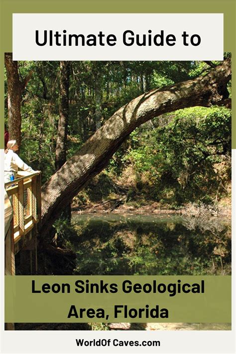 Ultimate Guide To Leon Sinks Geological Area Florida Tours Pricing