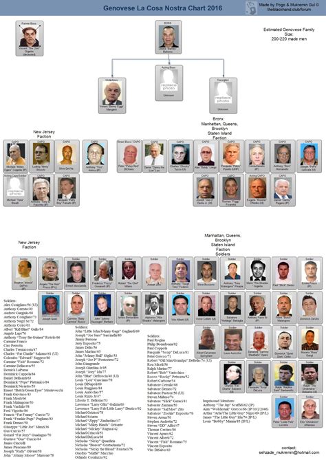 Mafia Family Leadership Charts | About The Mafia