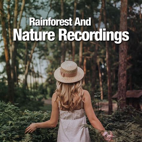 Rainforest And Nature Recordings Album By Nature And Rainforest Sounds