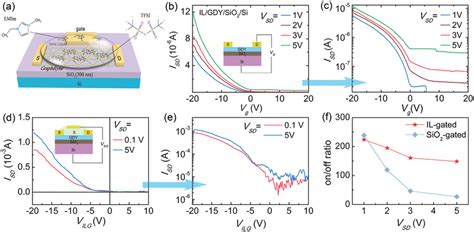 A Schematic Of A Gdy‐based Fet Device With An Ionic Liquid Dielectric