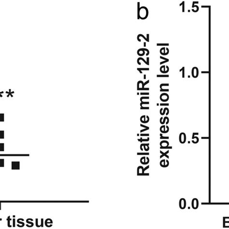 The Expression Of Mir‐129‐2 In Human Non‐small‐cell Lung Cancer Nsclc