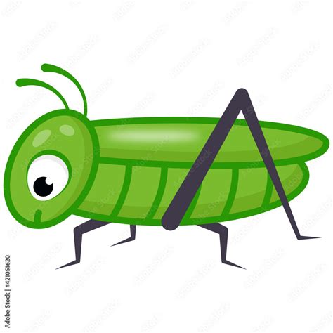 Herbivorous insects, flat cartoon icon of grasshopper Stock Vector | Adobe Stock