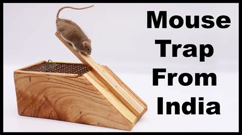 Mouse Trap From India Mousetrap Monday Youtube