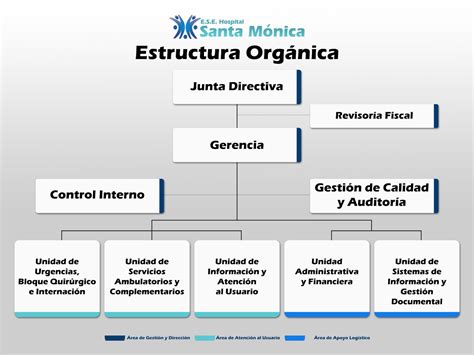 Estructura Organica