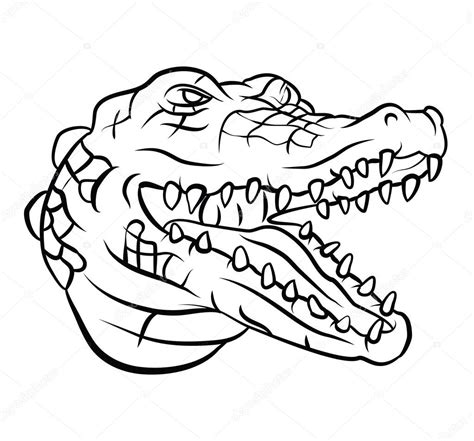 Crocodile Head Stock Vector Image By ©funwayillustration 54806291