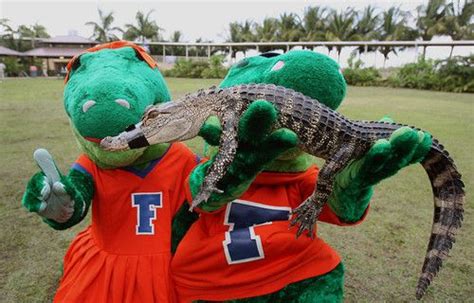 Florida Gators mascots Alberta and Albert with a baby Gator. | Mascot ...